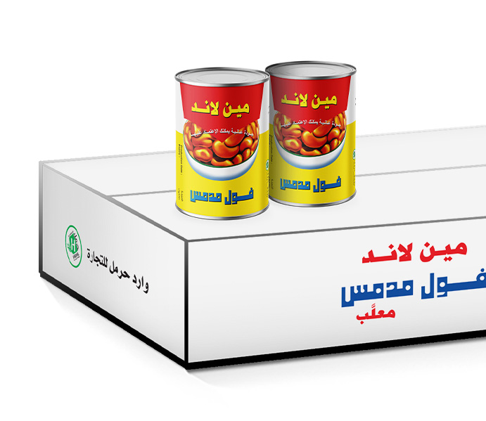 فول مين لاند